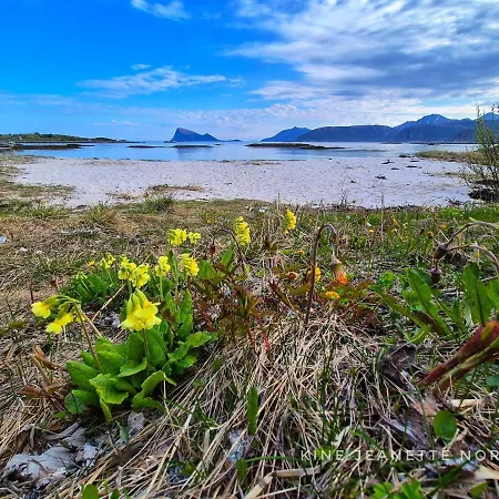 Norway's Smallest 아파트 *