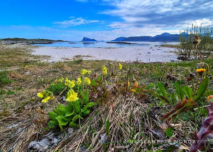 Norway's Smallest Apartament *